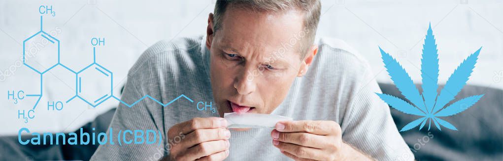panoramic shot of handsome man licking paper for blunt with medical cannabis near cbd molecule illustration