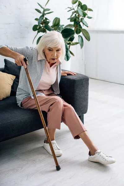 Wanita Senior Dengan Tongkat Kayu Duduk Sofa Apartemen — Stok Foto