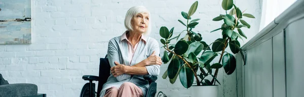 Colpo Panoramico Donna Anziana Seduta Sedia Rotelle Distogliendo Sguardo Appartamento — Foto Stock