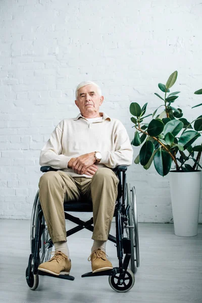 Starszy Mężczyzna Siedzi Wózku Inwalidzkim Patrzy Kamerę Mieszkaniu — Zdjęcie stockowe