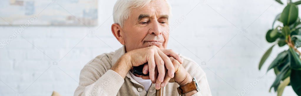 panoramic shot of senior man holding wooden cane in apartment 