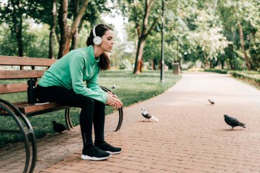 Spor kulaklıklı kadın spor şişesinin yanında oturuyor ve parkta bankta akıllı telefon var. 
