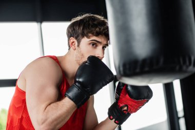 Boks eldivenli sporcunun kum torbasıyla egzersiz yaptığı seçici odak noktası. 
