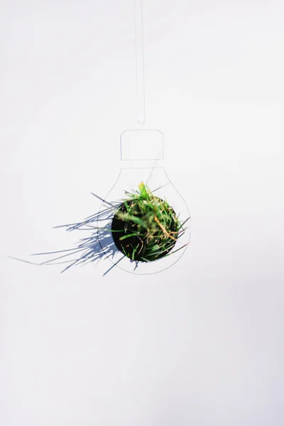 Top View Drawn Light Bulb Grass White Background Ecology Concept — Stock Photo, Image