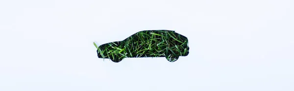 Zdjęcie Panoramiczne Trawy Symbolu Samochodu Białym Tle Koncepcja Ekologii — Zdjęcie stockowe