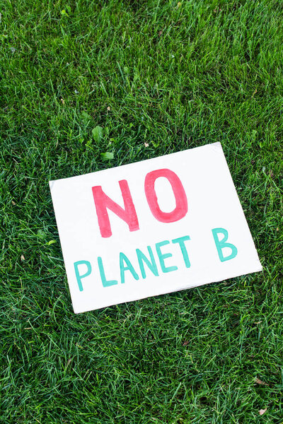 Top view of placard with no planet b lettering on grass, ecology concept