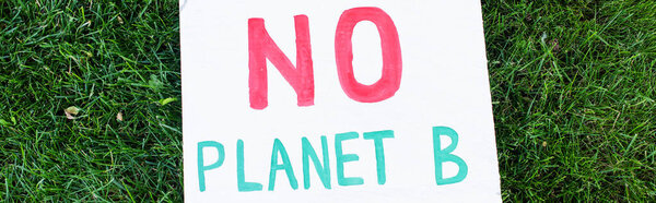 Panoramic shot of placard with no planet b lettering on green grass, ecology concept