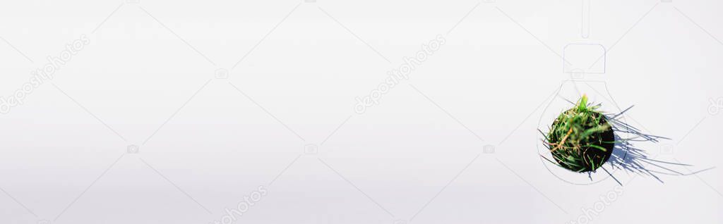 Panoramic concept of drawn light bulb and grass on white background, ecology concept