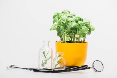 Çiçek saksısında yeşil bitki cam şişelerde bitkilerin yanında ve beyaz arka planda steteskop, naturopati konsepti