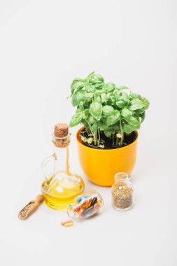 Çiçek saksısında yeşil bitki hapların yanında bitkiler cam şişelerde ve temel yağ beyaz arka planda, naturopati konsepti