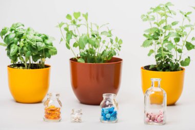 Çiçek saksılarındaki yeşil bitkilerin seçici odağı beyaz arka plandaki cam şişelerdeki hapların yanında, naturopati konsepti