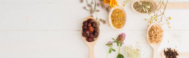 kaşıklardaki bitkilerin panoramik görüntüsü ve beyaz ahşap arka plandaki çiçekler, naturopati konsepti