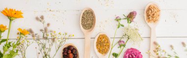 kaşıklardaki bitkilerin panoramik görüntüsü ve beyaz ahşap arka plandaki çiçekler, naturopati konsepti
