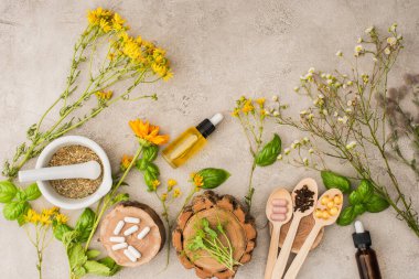 Otların üst görüntüsü, yeşil yapraklar, tokmaklı havan topları, tahta kaşıklarda şişeler ve haplar beton arka planda, naturopati konsepti