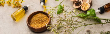 Bitkinin üst görüntüsü, yeşil yapraklar, zencefil kökü ve beton arka planda tahta kaşıkta haplar, naturopati konsepti.