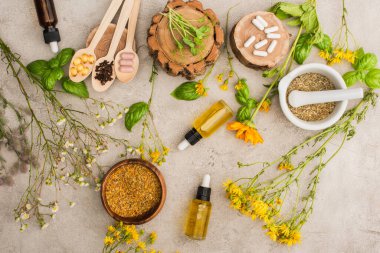 Yaban çiçeklerinin, otların, yeşil yaprakların, tokmaklı havan toplarının, somut arka planda tahta kaşıklarda şişelerin ve hapların üst görüntüsü, naturopati kavramı