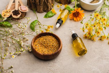 Kır çiçekleri, otlar, şişeler ve haplar beton arka planda, naturopati kavramı