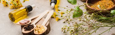 panoramic shot of wildflowers, herbs, bottles and pills in spoons on concrete background, naturopathy concept clipart