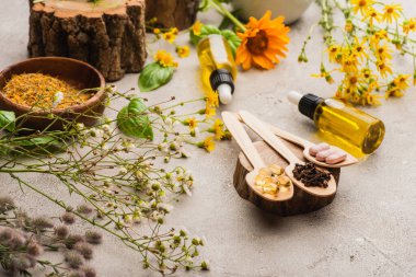 selective focus of wildflowers, herbs, bottles and pills in wooden spoons on concrete background, naturopathy concept clipart