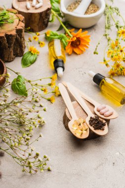 selective focus of wildflowers, herbs, bottles and pills in wooden spoons on concrete background, naturopathy concept clipart