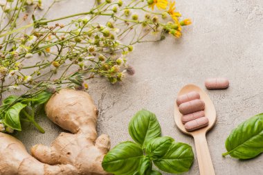 Bitki, yeşil yapraklar, zencefil kökü ve beton arka planda tahta kaşıkta haplar, naturopati konsepti.