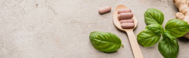 yeşil yaprakların panoramik çekimi, zencefil kökü ve tahta kaşıkta beton arka planda haplar, naturopati konsepti