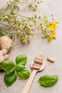 Bitki, yeşil yapraklar, zencefil kökü ve beton arka planda tahta kaşıkta haplar, naturopati konsepti.