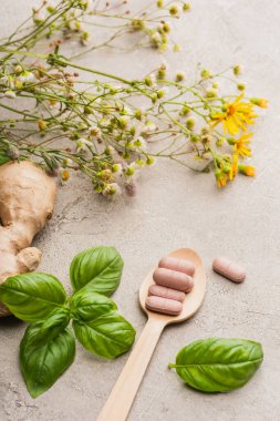 herb, green leaves, ginger root and pills in wooden spoon on concrete background, naturopathy concept clipart