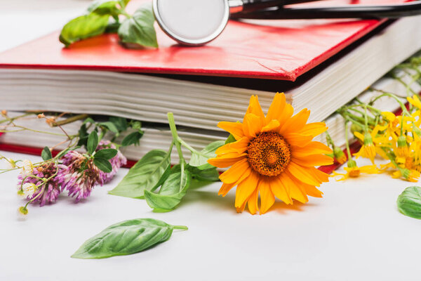 herbs in book with stethoscope on white background, naturopathy concept