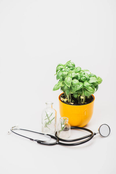green plant in flowerpot near herbs in glass bottles and stethoscope on white background, naturopathy concept