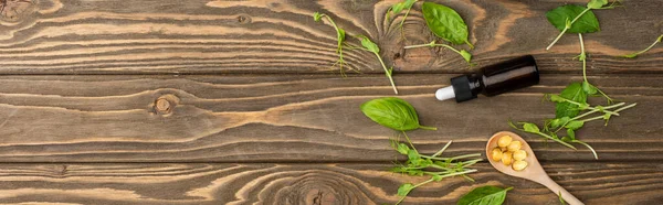 Vista Superior Píldoras Cuchara Hierbas Verdes Botella Superficie Madera Naturopatía —  Fotos de Stock