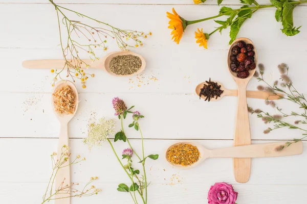 Top View Herbs Spoons Flowers White Wooden Background Naturopathy Concept — Stock Photo, Image