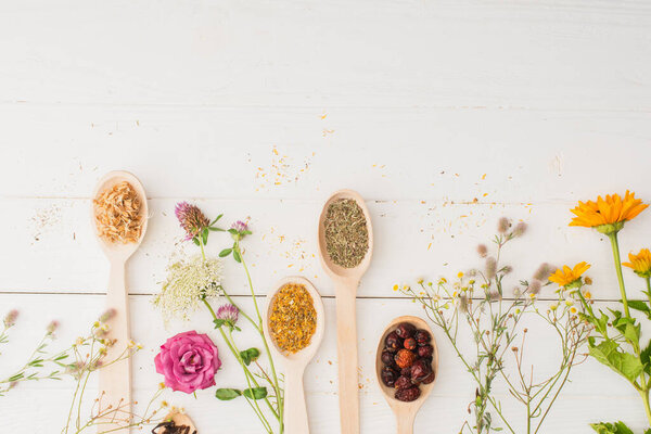 top view of herbs in spoons and flowers on white wooden background, naturopathy concept