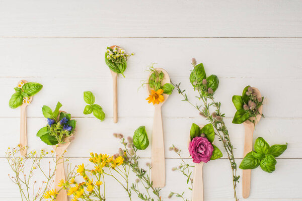 top view of herbs and green leaves in spoons near flowers on white wooden background, naturopathy concept