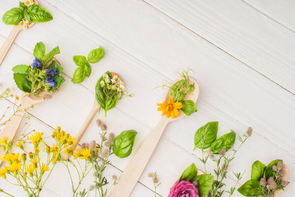 top view of herbs and green leaves in spoons near flowers on white wooden background, naturopathy concept
