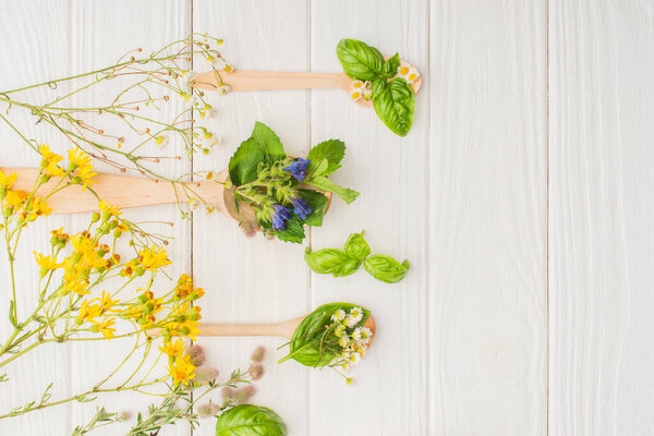 top view of herbs and green leaves in spoons near flowers on white wooden background, naturopathy concept