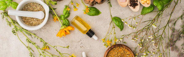 panoramic shot of herbs, green leaves, mortar with pestle on concrete background, naturopathy concept