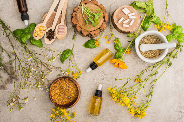 top view of wildflowers, herbs, green leaves, mortar with pestle, bottles and pills in wooden spoons on concrete background, naturopathy concept