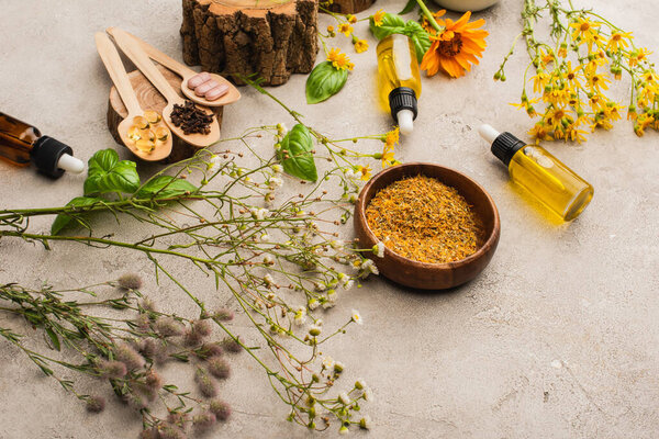 wildflowers, herbs, bottles and pills on concrete background, naturopathy concept