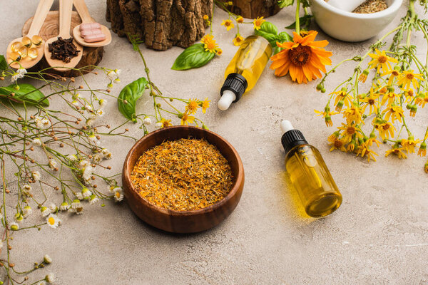 wildflowers, herbs, bottles and pills on concrete background, naturopathy concept