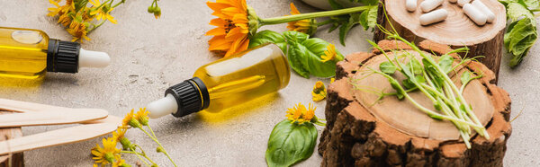 panoramic shot of wildflowers, herbs, bottles and pills on concrete background, naturopathy concept
