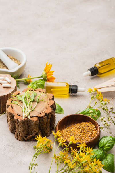 wildflowers, herbs, bottles and pills on concrete background, naturopathy concept