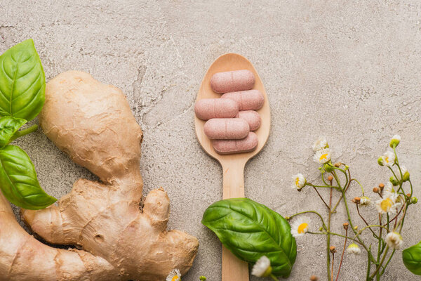 вид сверху на траву, зеленые листья, корень имбиря и таблетки в деревянной ложке на бетонном фоне, концепция натуропатии