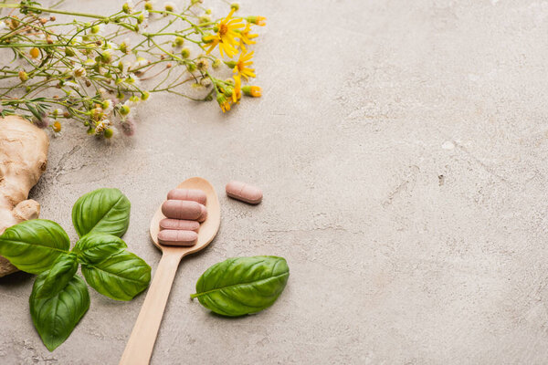 herb, green leaves, ginger root and pills in wooden spoon on concrete background, naturopathy concept