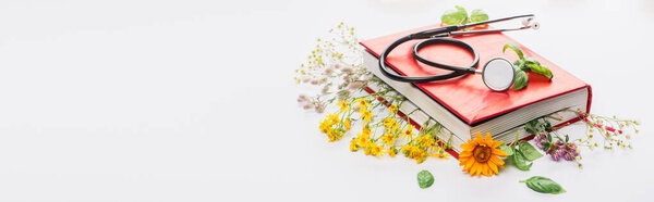 panoramic shot of herbs in book with stethoscope on white background, naturopathy concept