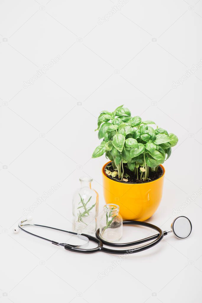 green plant in flowerpot near herbs in glass bottles and stethoscope on white background, naturopathy concept