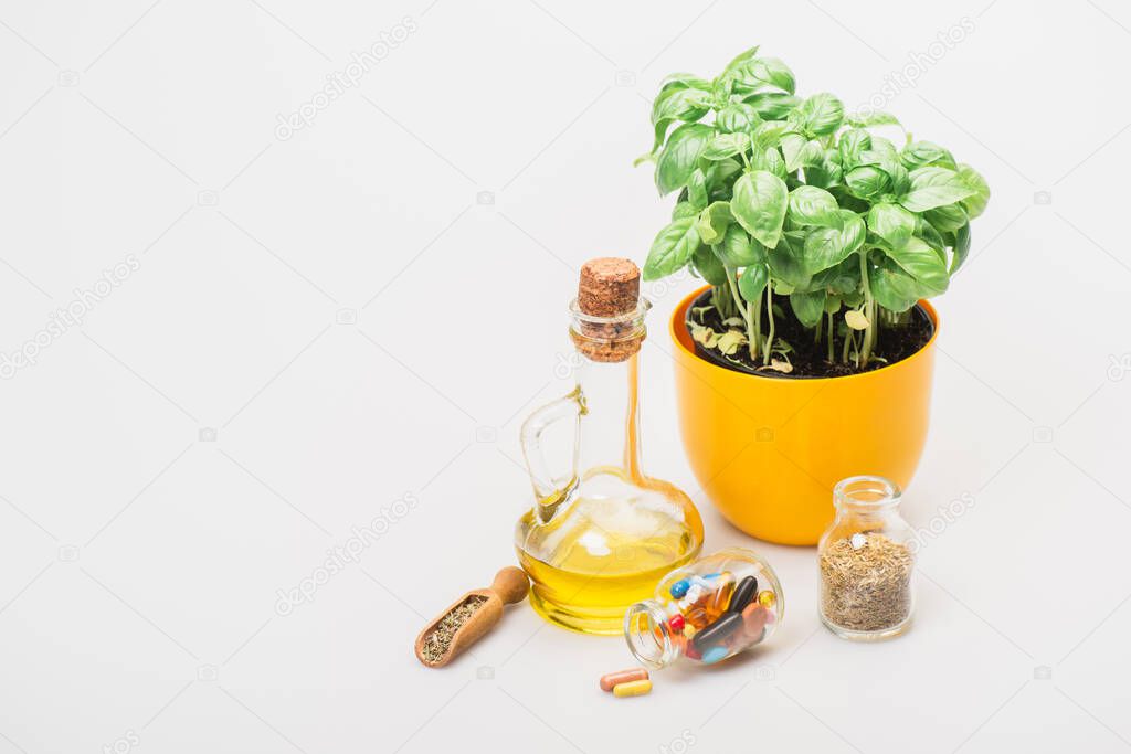 green plant in flowerpot near pills and herbs in glass bottles and essential oil on white background, naturopathy concept