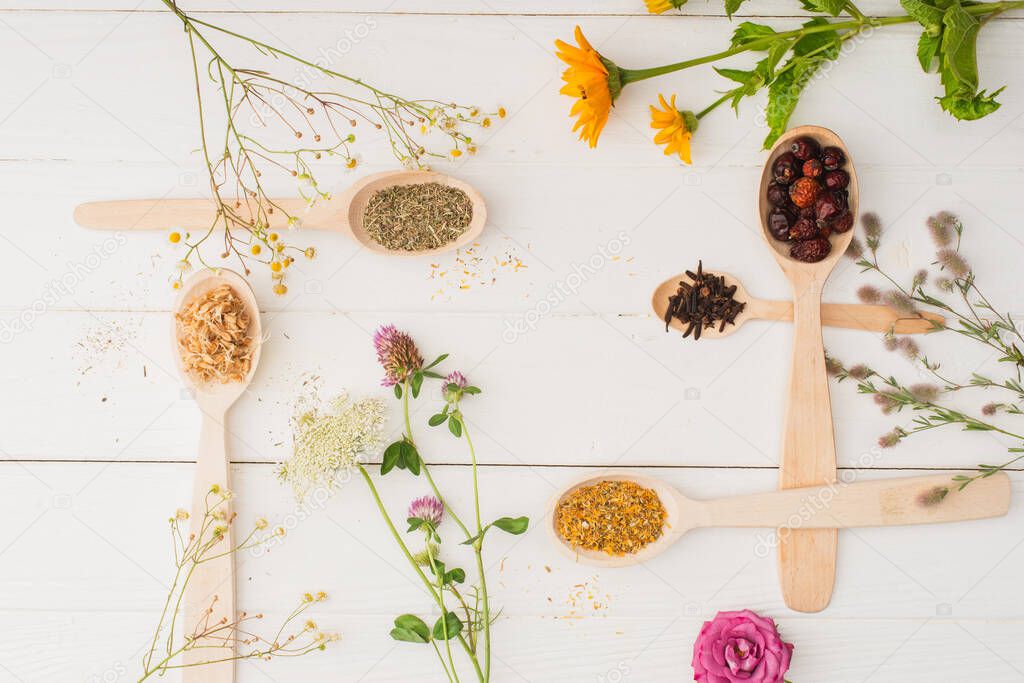 top view of herbs in spoons and flowers on white wooden background, naturopathy concept