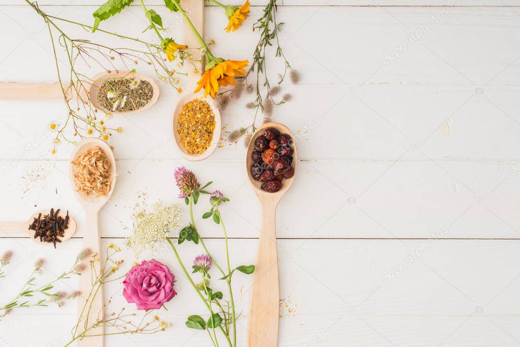 top view of herbs in spoons and flowers on white wooden background, naturopathy concept