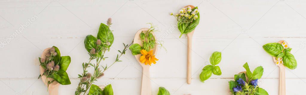 panoramic shot of herbs and green leaves in spoons near flowers on white wooden background, naturopathy concept